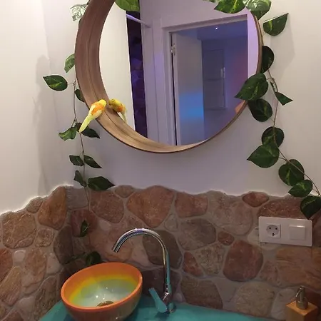 Wonder Paradisio נרחה