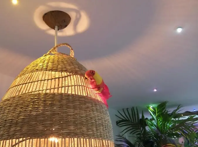 Wonder Paradisio Нерха