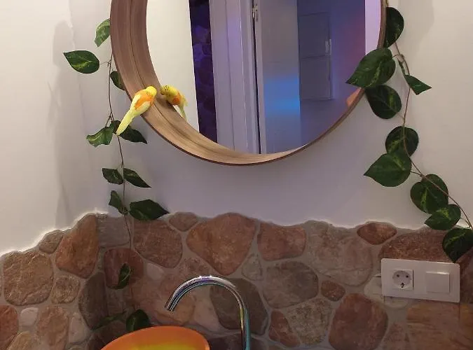 Wonder Paradisio Нерха