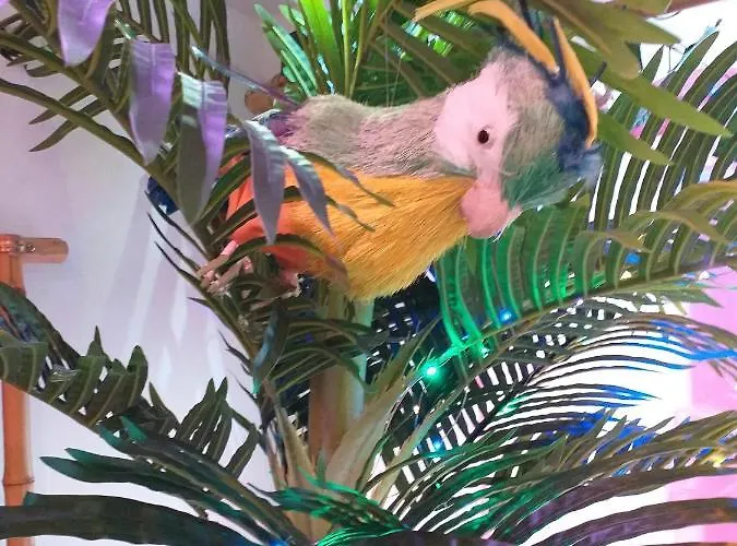 Apartment Wonder Paradisio Nerja